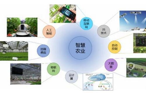 我国农业生产阶梯式上升 智慧农业生产新模式